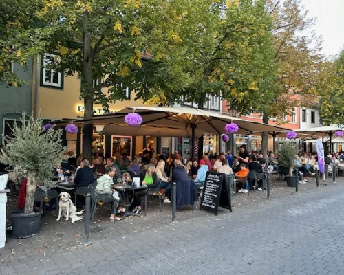 Restaurantterrasse mit Gästen unter Bäumen in der Erfurter Innenstadt